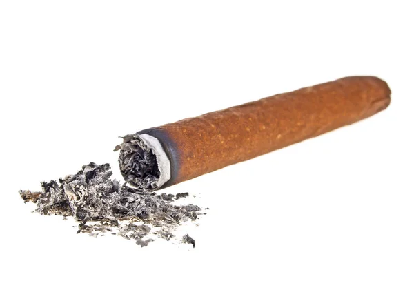 Röka cigarr på vit bakgrund — Stockfoto