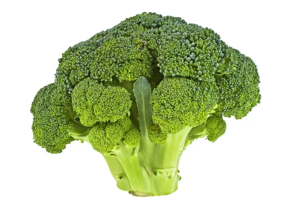 Verse broccoli geïsoleerd op een witte achtergrond — Stockfoto