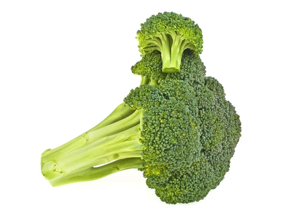 Färsk broccoli isolerad på vit bakgrund — Stockfoto