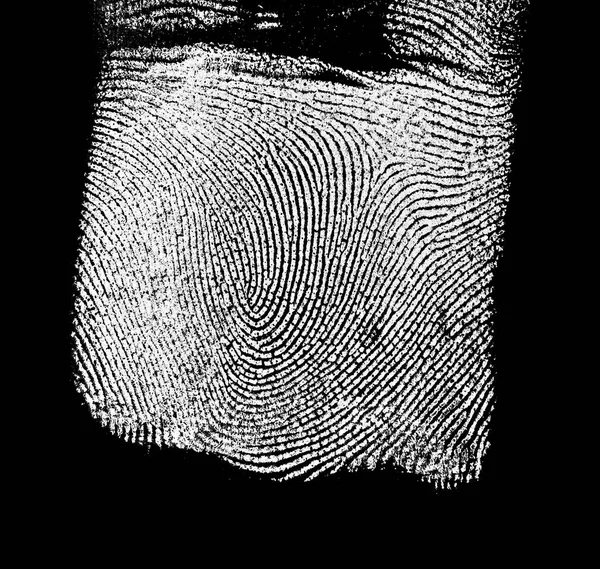 Fingerprint pattern on black background — Stock Photo, Image