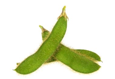 Beyaz arkaplanda yeşil soya fasulyesi