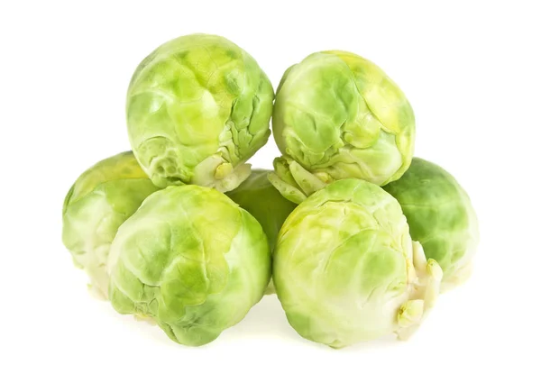 Rosenkohl sprießt auf weißem Hintergrund — Stockfoto