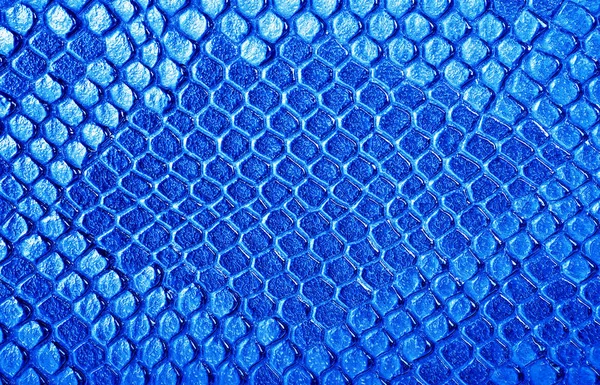 Piel de serpiente azul, se puede utilizar como fondo —  Fotos de Stock