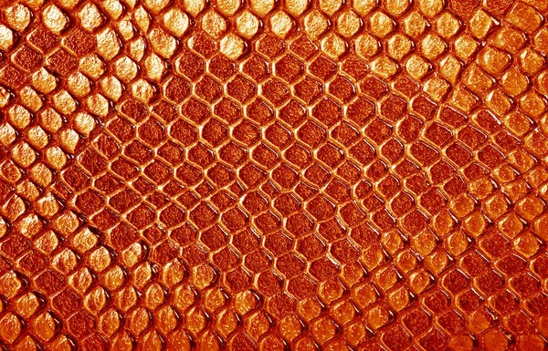 Кожа коричневой змеи, может быть использована в качестве фона — стоковое фото