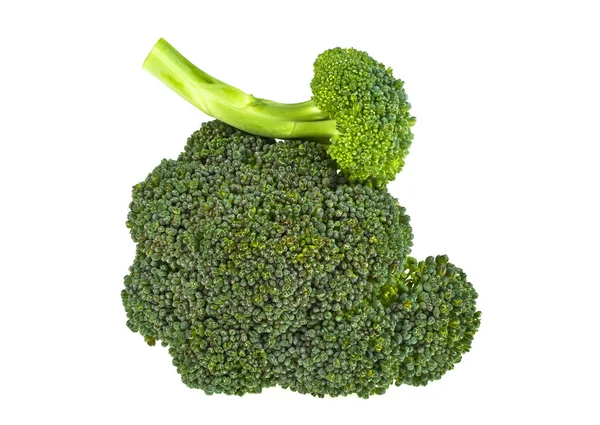 Gezonde broccoli geïsoleerd op een witte achtergrond — Stockfoto