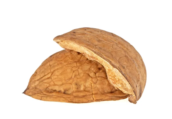 Walnut shell isolated on white background — Stock Photo, Image