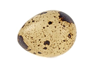 Beyaz bir arka plan üzerinde izole bir Bıldırcın yumurta