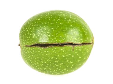 Yeşil ceviz beyaz bir arka plan üzerinde izole