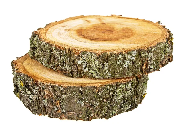Cross section of tree trunk on white background — Stock Photo, Image