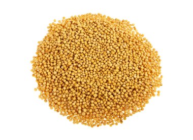 beyaz zemin üzerine hardal tohumu