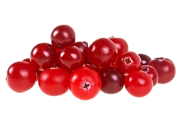 Sekelompok cranberry segar terisolasi pada latar belakang putih — Stok Foto
