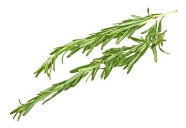 Biberiye beyaz arka planda izole edildi