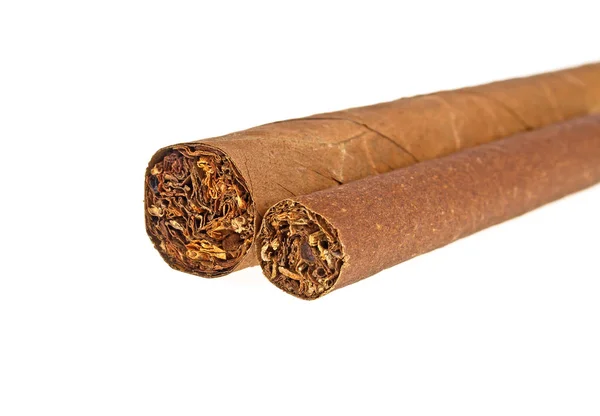 Two cigars isolated on a white background — Stock Photo, Image