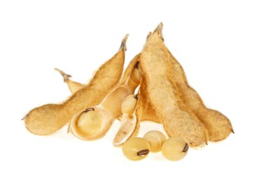 Beyaz arka plan üzerinde izole soya bakla