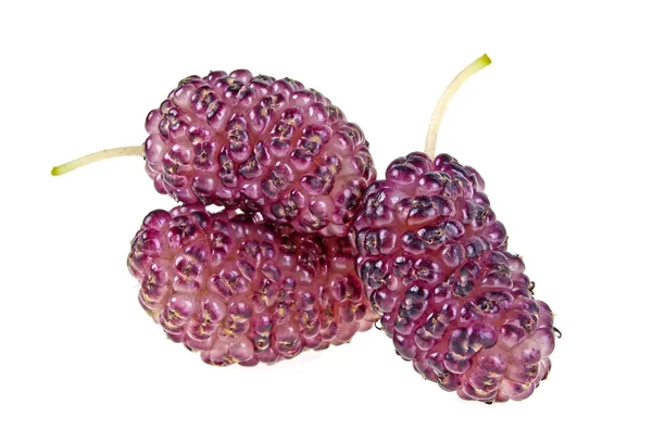 Fruta de amoreira isolada sobre um fundo branco — Fotografia de Stock