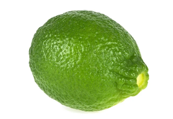 Lime isolated on a white background — Stock Photo, Image