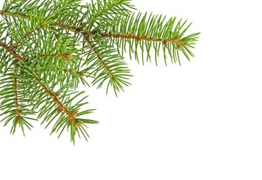 Beyaz arkaplanda izole edilmiş Noel yeşili çerçeve
