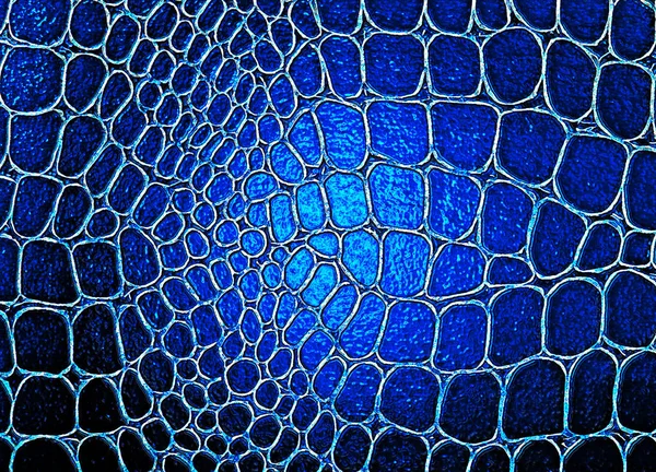 Texture de peau de crocodile bleu, fond foncé — Photo