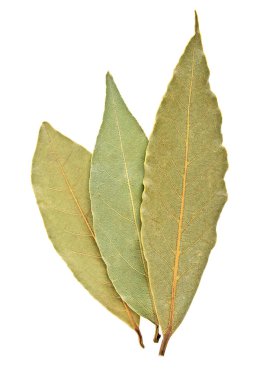 Beyaz bir arka plan üzerinde izole kuru defne yaprakları