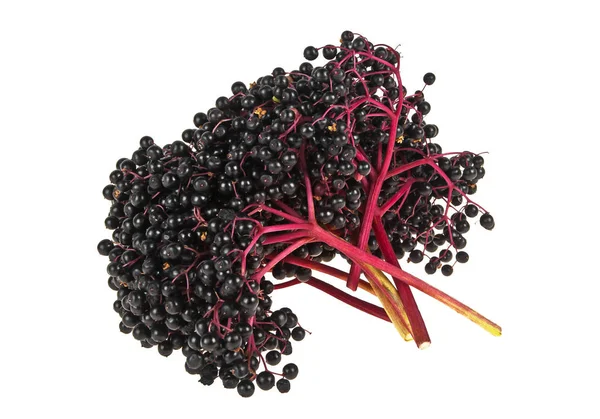 Black elderberry fresh fruit isolated on a white background — Stock Photo, Image