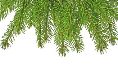 Beyaz arkaplanda izole edilmiş Noel yeşili çerçeve