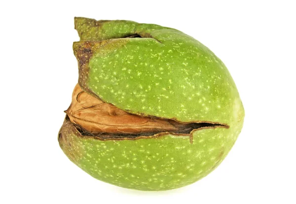 Green walnut isolated on a white background — Stock Photo, Image