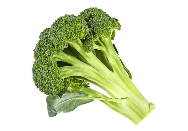 Broccoli isolerad på vit bakgrund — Stockfoto