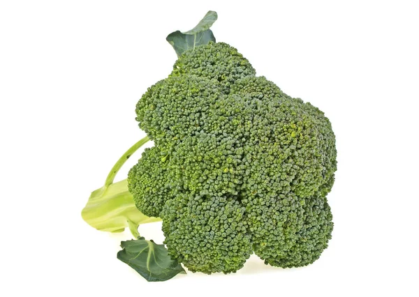 Broccoli verdi su fondo bianco — Foto Stock