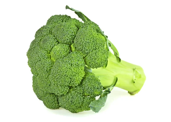 Frischer Bio-Brokkoli isoliert auf weißem Hintergrund — Stockfoto