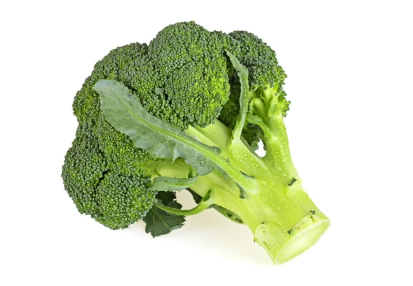 Fehér alapon izolált friss brokkoli — Stock Fotó