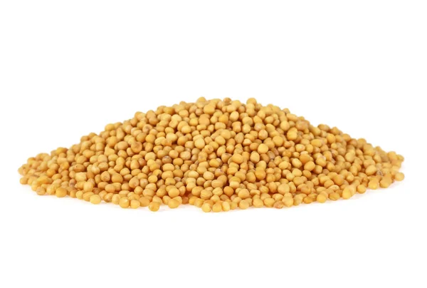 Gelbe Senfkörner isoliert auf weißem Hintergrund — Stockfoto
