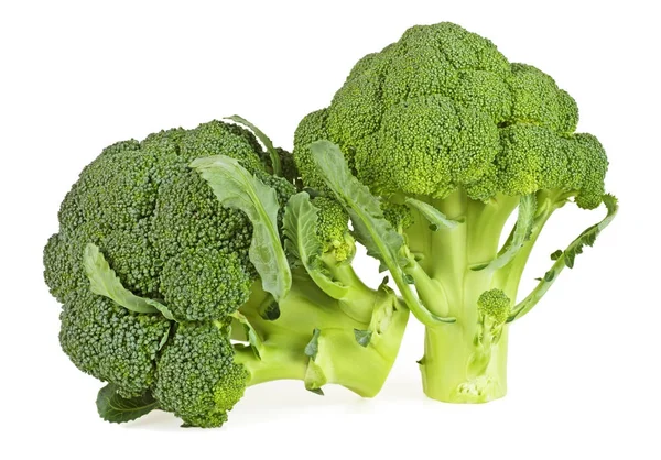 Zwei frische Brokkoli isoliert auf weißem Hintergrund — Stockfoto