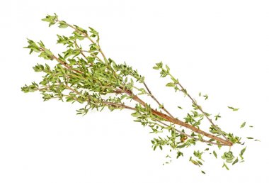 Beyaz bir arka plan üzerinde izole kekik fışkın