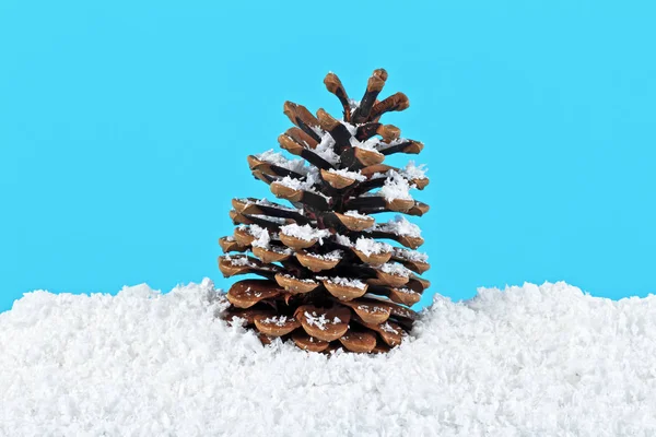 Cono di pino nella neve su sfondo blu — Foto Stock