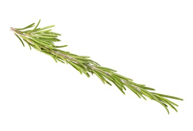 beyaz zemin üzerine yeşil biberiye