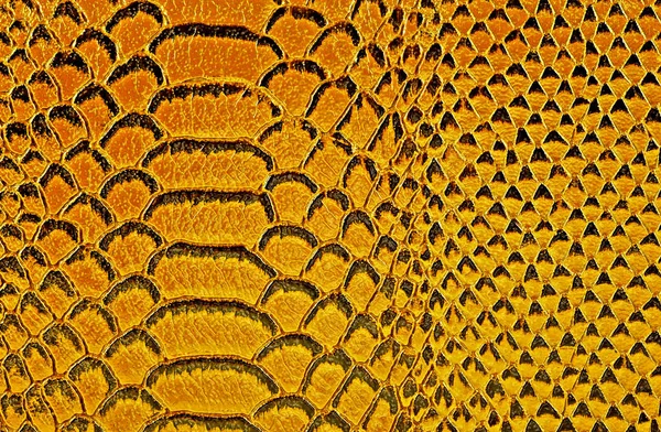 Fundo abstrato, pele de cobra colorida . — Fotografia de Stock