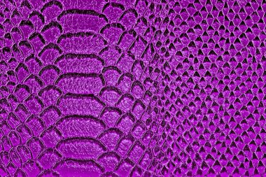 Arka plan olarak mor yılan derisi. Sürüngen.