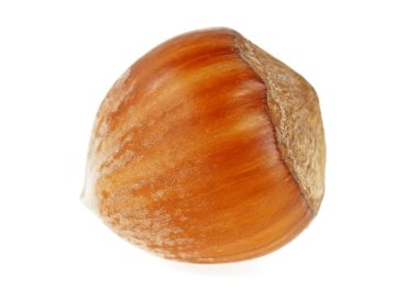 Fındık beyaz arkaplanda izole