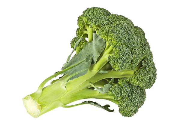 Čerstvé zelené brokolice izolovaných na bílém pozadí — Stock fotografie