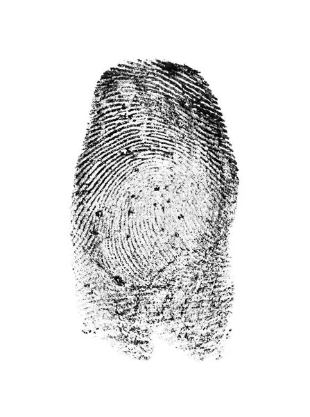 Fingerprint pattern isolated on white background — Stock Photo, Image