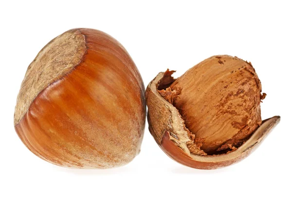 Hazelnuts isolated on a white background, close up — Stock Photo, Image