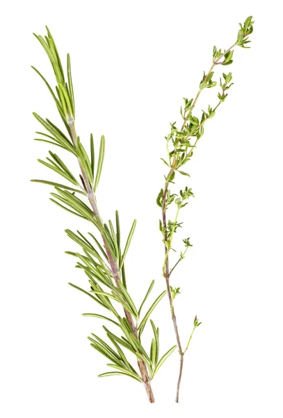 sprig of thyme sprig of thyme