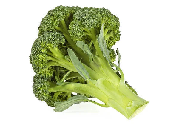 Broccoli cabbage on a white background — Stock Photo, Image