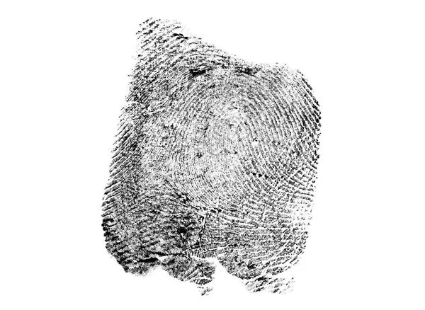 Black ink fingerprint isolated on white background — Stock Photo, Image