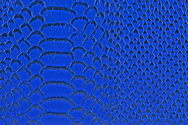 Blaue Schlangenhaut, als Hintergrund. Reptil. — Stockfoto