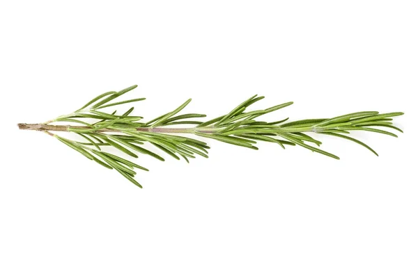 Rosemary isolated on a white background, top view. — Stock Photo, Image