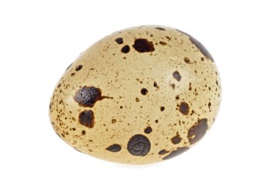 Beyaz arka plan üzerinde izole tek Bıldırcın yumurta