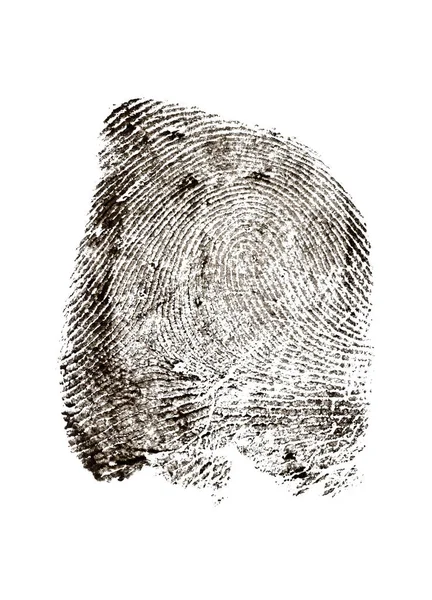 View of a fingerprint revealed by printing. Police fingerprint. — Stock Photo, Image