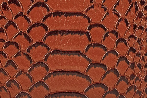 Brown motif peau de serpent texture fond — Photo