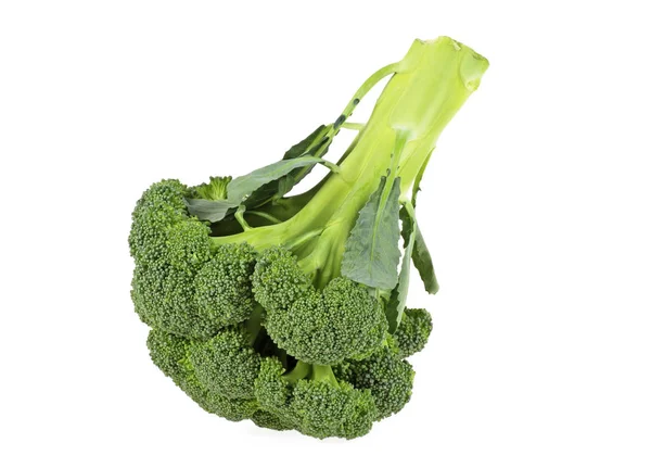 Broccoli geïsoleerd op witte achtergrond — Stockfoto